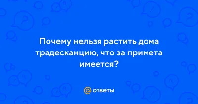 Что можно и нельзя делать в Духов день 5 июня - KP.RU