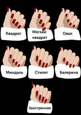 Форма ногтей: какой дизайн лучше выбрать? (80 фото) | Blush nails, Classic  nails, Manicure