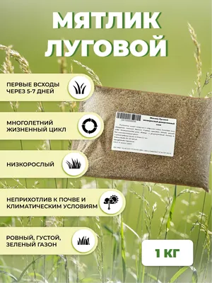 Мятлик луговой для газона семена, цена в Екатеринбурге от компании Интер  Строй Групп