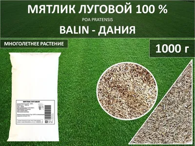 Газонная трава - мятлик луговой BALIN (DLF Trifolium) 25 кг