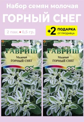 Молочай кипарисовый, купить саженцы молочая кипарисового в Москве в  питомнике недорого!