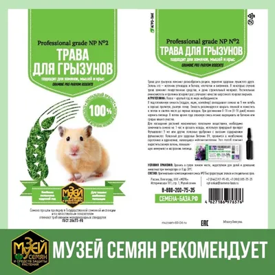 Купить Бораго Огуречная трава Медонос 0,3гр F0000029085 за 29руб.  |Garden-zoo.ru