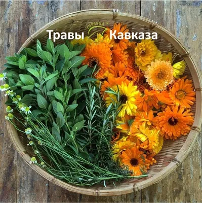 🌱Травы Кавказа🌱 - Страница 3 - kocos-sp.ru Совместные закупки косметики.