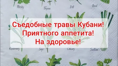 Съедобные травы Кубани! На здоровье, приятного аппетита! - YouTube