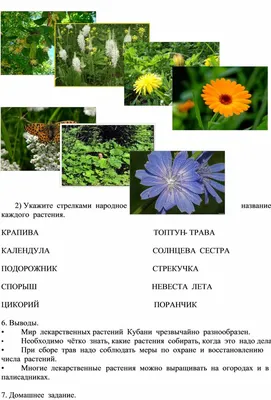 Расширение ассортимента производимой продукции - 11 Октября 2019 - Фиточай,  банные запарки, травы Кубани оптом