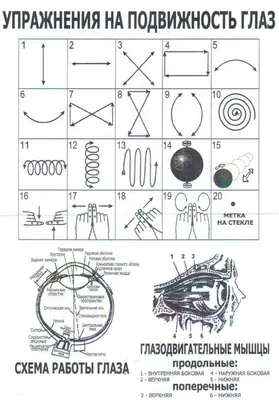 Гимнастика для глаз | Обо всем для всех! | Дзен