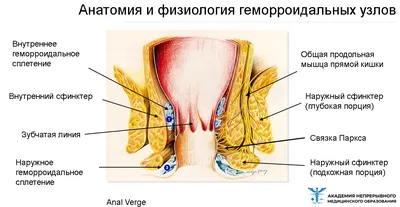 Хирургия для медсестер (малая проктология)