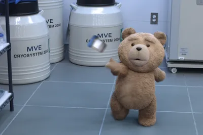 🎁 Медведь Тед из фильма Третий лишний - купить оригинальный подарок в  Москве