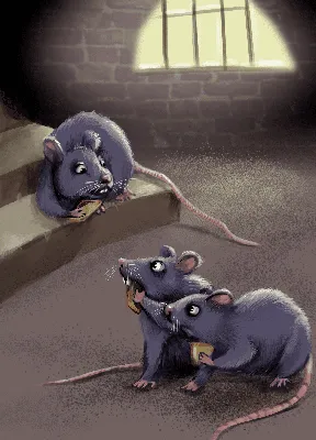 Стихотворение «Три крыса (сказка)», поэт Геращенко Татьяна