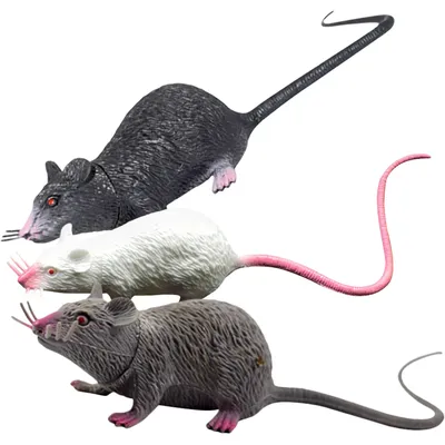 Набор игровой 1TOY Крысы 3предмета Т10492 купить по цене 229 ₽ в  интернет-магазине Детский мир