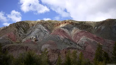 Турбаза Два медведя - Майминский, Горный Алтай (Республика Алтай), фото  турбазы, цены, отзывы