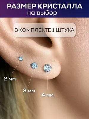 Серьги-гвоздики в уши (сталь 316L, камень рубин в оправе 3 мм) купить в  Украине 💛 Caflon