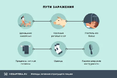 Профилактика заразных кожных заболеваний - Национальный центр Медицины  РС(Я), Республиканская больница №1