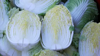 Россельхознадзор: В Кировскую область привезли салат, зараженный опасными  личинками трипса | ВЯТКА ОБЛАСТНАЯ
