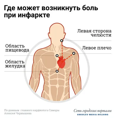 Тромбы в сердце: причины и что делать | Доктор Ленар Кашапов | Дзен