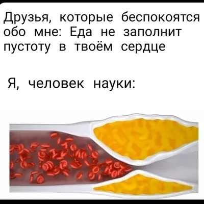 Тромбоэмболия легочной артерии (ТЭЛА) - кто в группе риска? | Доктор Жизнь  | Дзен