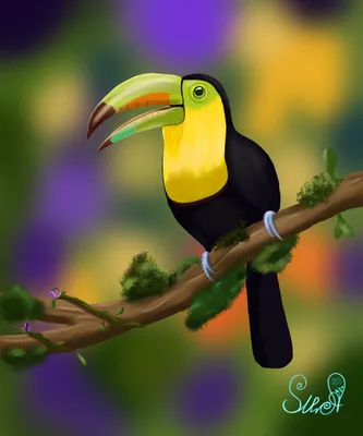 птицы тропические стоковое фото. изображение насчитывающей среда - 41539392