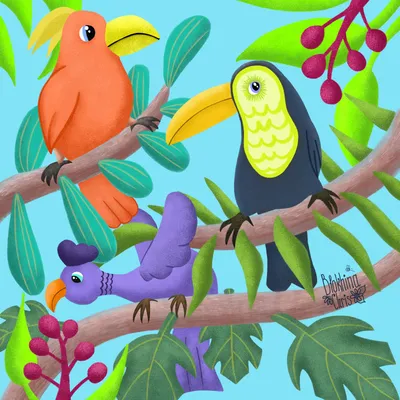 Тропические птицы — Хабр Фриланс