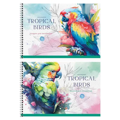 тропические птицы, тропические птицы, тропический, птицы png | PNGWing