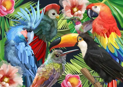 Это всё Мексика!: Тропические птицы - цвет мексиканской сельвы