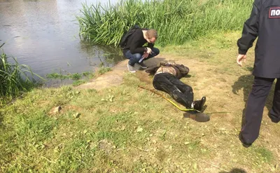 Найденный в Упе труп пролежал в воде несколько дней - Новости Тулы и  области. Криминал - MySlo.ru