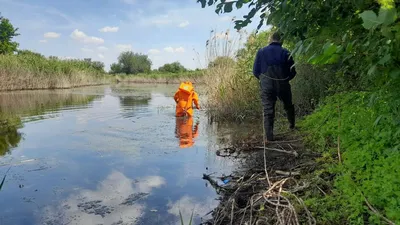 В Башкирии из реки вытащили разлагающийся труп мужчины