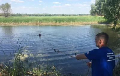 Водолазы нашли труп в пруду на окраине Саратова | Новости Саратова и  Саратовской области сегодня