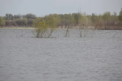 В Астрахани на берегу реки Волги обнаружили труп женщины