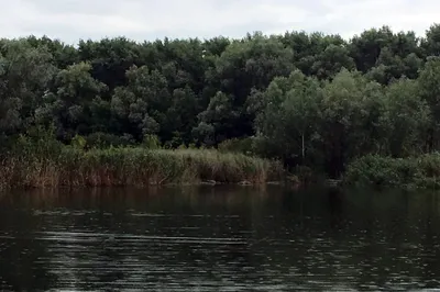 Труп мужчины вытащили из воды аквалангисты на базе отдыха под Ростовом