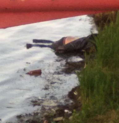 В Западнодвинском районе в озере обнаружили труп | АиФ–Тверь | Дзен