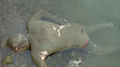 В воде обнаружено тело человека - YouTube
