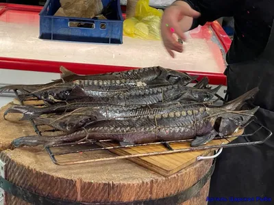 Стерлядь «Царская рыба»🐟 - рецепт автора Татьяна @-}--