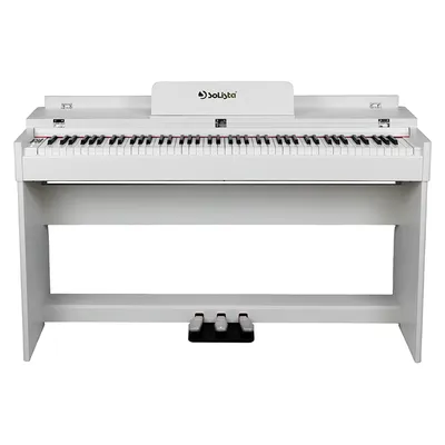 Цифровое пианино Beisite B-89 Pro BK черное - купить в интернет-магазине  Глинки.ру