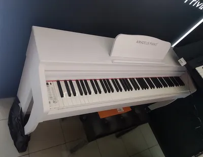 Цифровое пианино Solista DP200WH: купить в Минске, цена | Muz.by