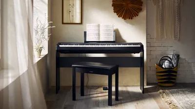 Купить Цифровое пианино NUX NPK-20 BK в Санкт-Петербурге с доставкой.  Отзывы, видео и характеристики.