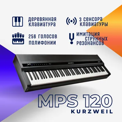 Цифровое пианино Nux NPK-20 BK - купить в DMTR Pedal Shop