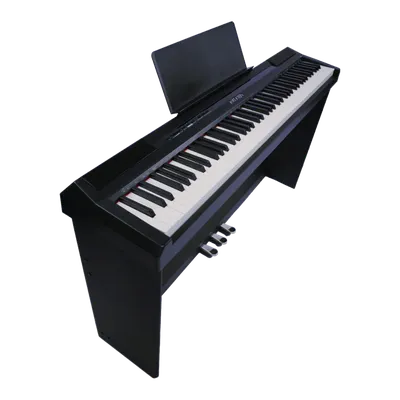 KORG XE20 Цифровое пианино взвешенная механика 88 клавиш - купить Цифровые  фортепиано и цифровые рояли