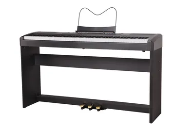 Цифровое пианино Yamaha P-45 – оптимальный выбор для занятий в музыкальной  школе | Yamaha Music | Дзен