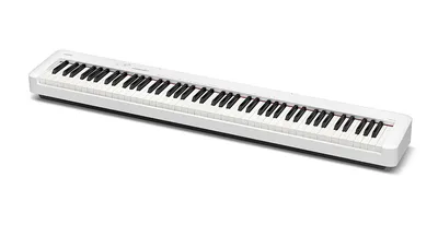 Купить Beisite B-89 Pro WE - Цифровое фортепиано, отличные цены на пианино  в Ростове-на-Дону | Дон Мьюзик