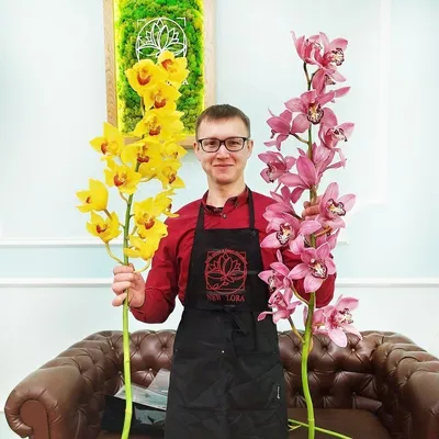 Букет из 25 белых и зеленых орхидей цимбидиум - купить с доставкой по  Днепру в flowers-store.com.ua