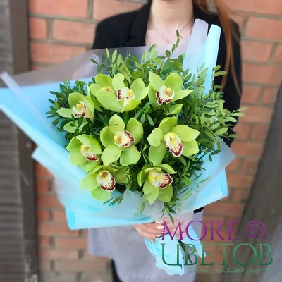 Купить Орхидеи Цимбидиум в корзине «Nadyn» в Нижнем Новгороде