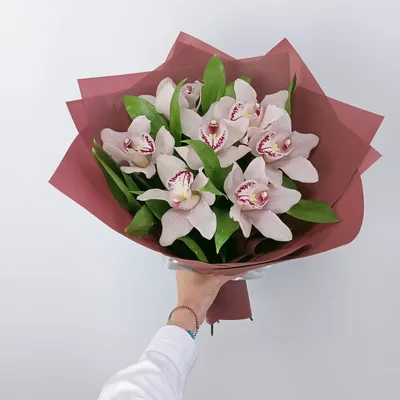 Розовый букет цветов на старых деревянных планках Cymbidium орхидеи  Стоковое Фото - изображение насчитывающей украшение, зеленый: 176168288