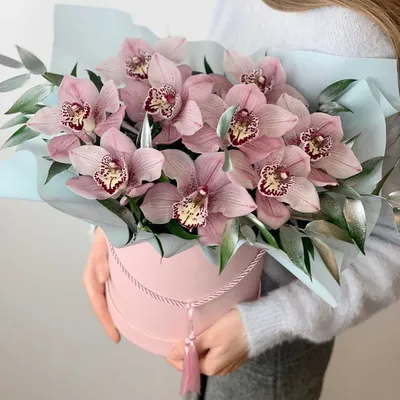 Букет из 13 цветов — белых роз Мондиаль и зеленых орхидей Цимбидиум (02482)  купить с доставкой в Архангельске