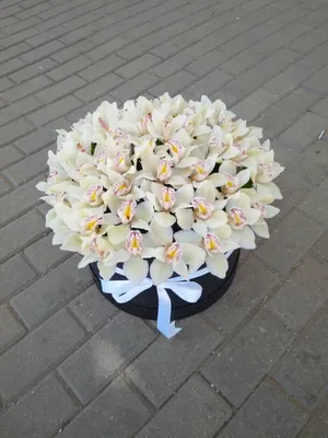Орхидея Цимбидиум в букете — Kievflower - Доставка цветов