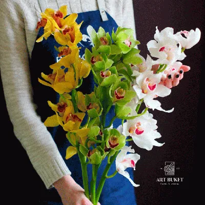 Купить букет цветов из трех веток орхидеи \"Цимбидиум\" №49 с доставкой по  Киеву. Низкая цена, быстрая доставка.
