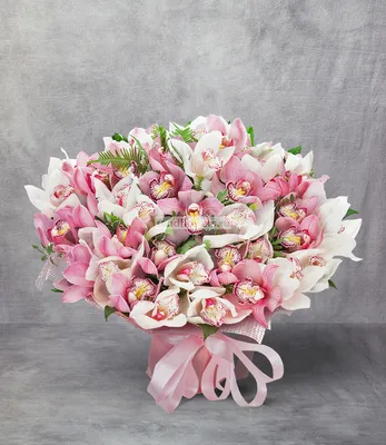 Букет «Цимбидиум» - Доставка цветов в Сочи - Belle Fleur