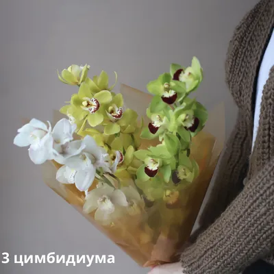 Орхидея | Доставка цветов Нижневартовск
