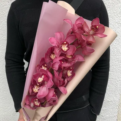 Ветка орхидеи цимбидиум - Доставка свежих цветов в Шарыпово