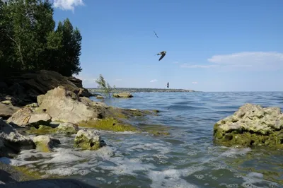 Город под водой! Цимлянск | Пикабу