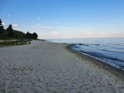 Ростовская АЭС выпустила в Цимлянское водохранилище почти 1 миллион мальков  сазана и белого амура